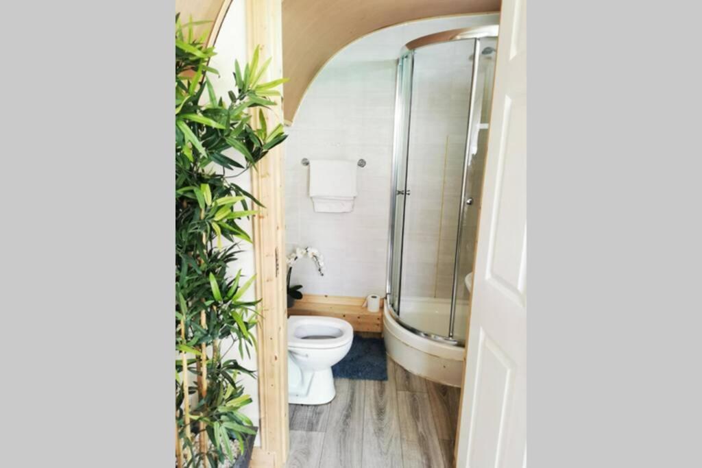 Lazy Lodge Glamping Pod With Hot Tub Laois Exterior foto