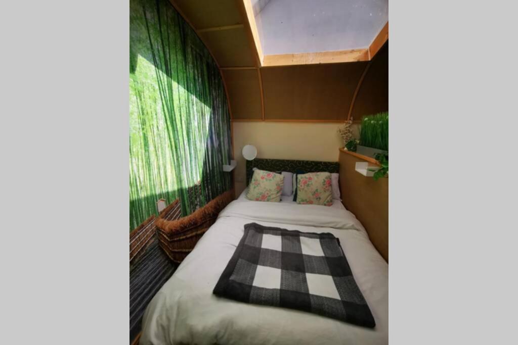 Lazy Lodge Glamping Pod With Hot Tub Laois Exterior foto